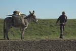 Обиколка на света с магаре: Пенсиониран германец пътешества със своя четириног приятел