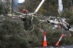 Бурни ветрове оставиха хиляди австралийци без ток