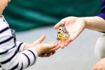 В България се раждат по две „пеперудени деца“ на година