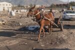 Спецакция в най-големия ромски квартал у нас: Полицията спира всички, които излизат от махалата