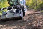Незаконна сеч във вековна гора в София (СНИМКИ)