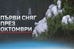 Първи сняг през октомври: Проходът „Петрохан“ е затворен, катастрофи и пътни тапи белязаха деня