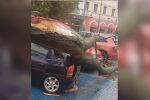 Паднали клони и смачкани коли: Скоростта на вятъра в Сливен е между 70 и 90 км/ч