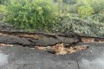 Опасна язовирна стена в Русенско – възможно ли е срутване?