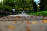 Облачно и силен вятър днес, през уикенда - дъжд