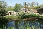 Два лъва избягаха от клетката си в зоопарка в Лайпциг