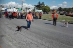 Ловци от Северна България излязоха на протест