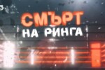 bTV Репортерите: Смърт на ринга