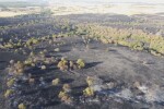 Пожарите в Хасковско са локализирани, но множество огнища продължават да са активни