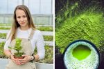 Световен недостиг на матча: Как германка започва собствено производство на японския чай?