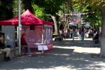 Молдова блокира серия от кибератаки, насочени срещу изборната ѝ инфраструктура