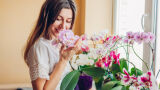 Орхидея – как се отглежда водно за по-обилен цъфтеж (СНИМКИ)
