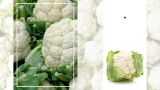 Карфиол вместо хляб и ориз? Ето защо този зеленчук е диетичен хит (ВИДЕО)