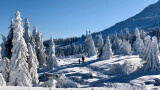 Ледената планета Витоша (СНИМКИ)