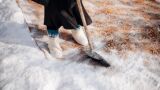 Ето как да почистим килима в снега - стъпка по стъпка (ВИДЕО)