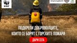 Над 90% от горските пожари в България са причинени от човешка дейност