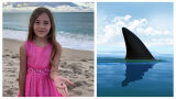 Момиченце оцеля след атака от акула – и превърна болката в триумф (СНИМКИ)