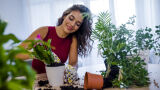 5 съвета за разсеяни градинари - които често забравят грижата за своите растения 