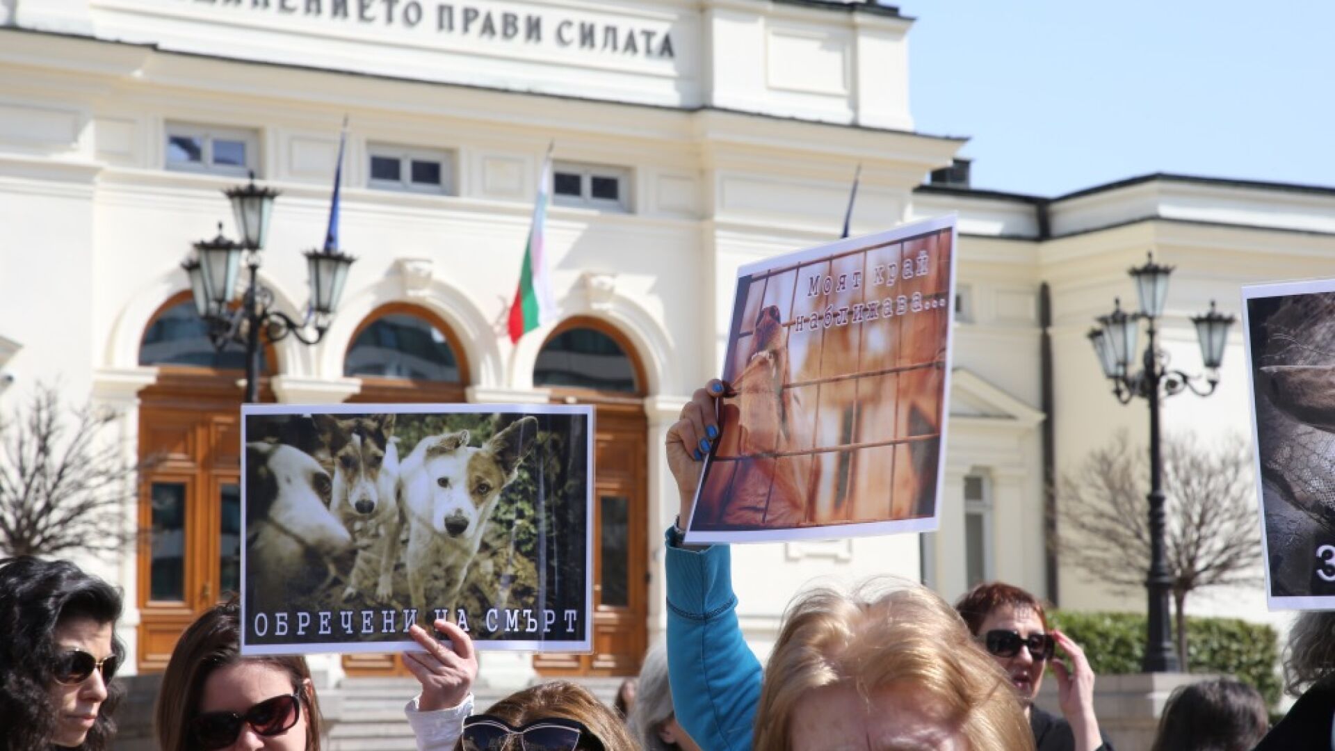 Шествие срещу насилието на животни днес в столицата (ГАЛЕРИЯ)