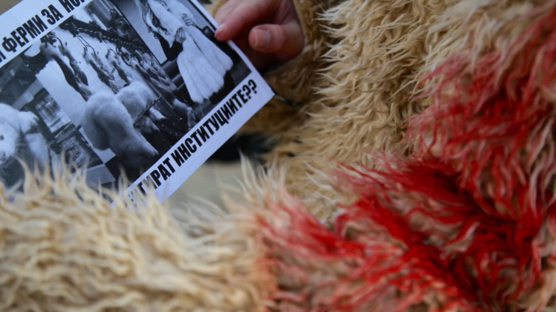 Вегетарианци протестираха срещу насилието над животни (СНИМКИ)