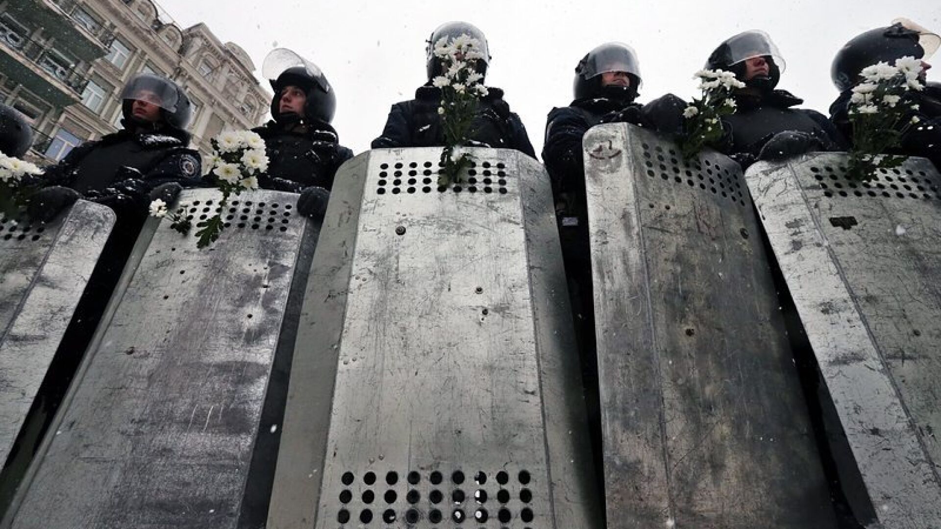 Братята Кличко под обсада