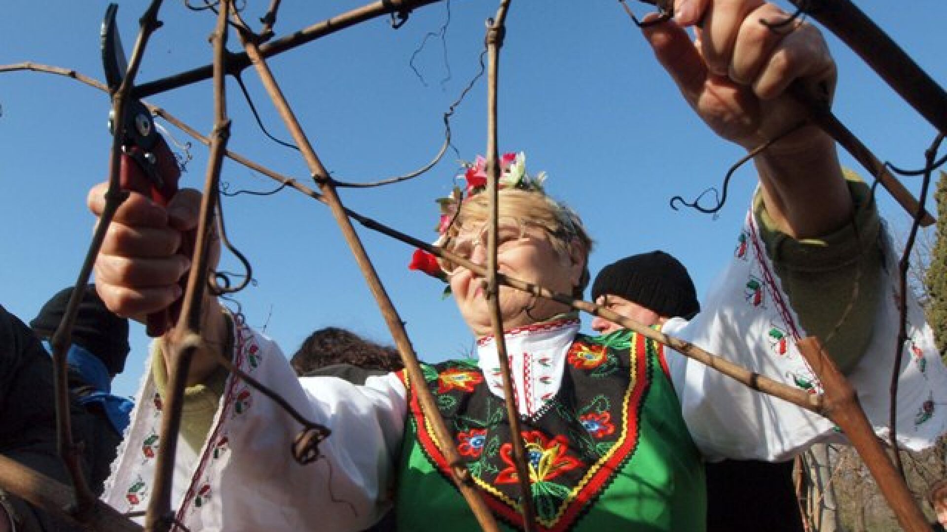 Денят в снимки
