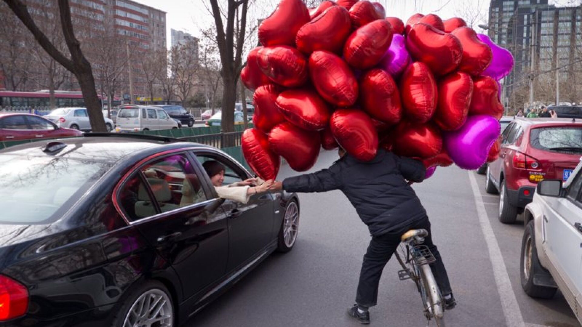 Денят в снимки