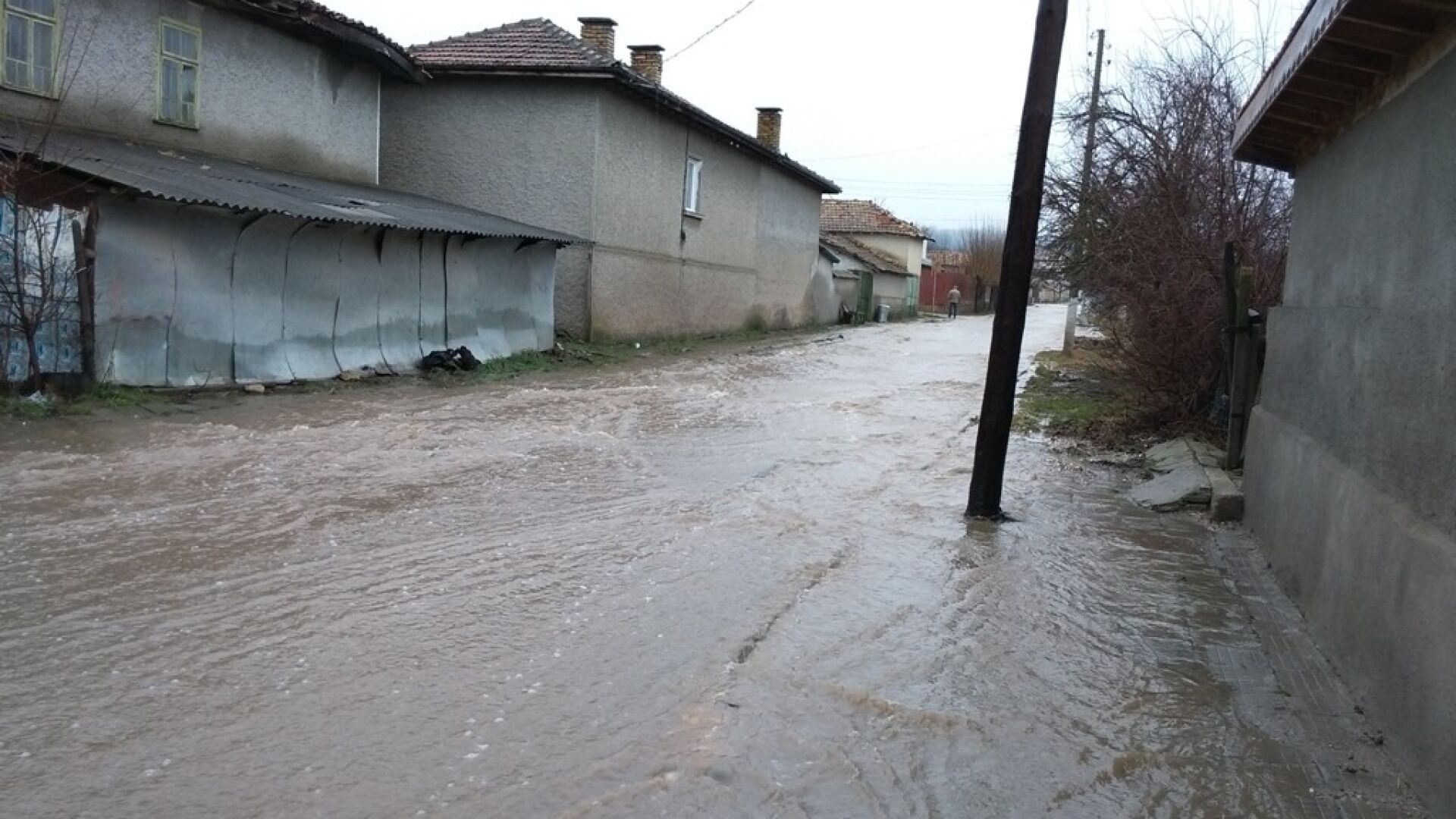 Белокопитово под вода (СНИМКИ)