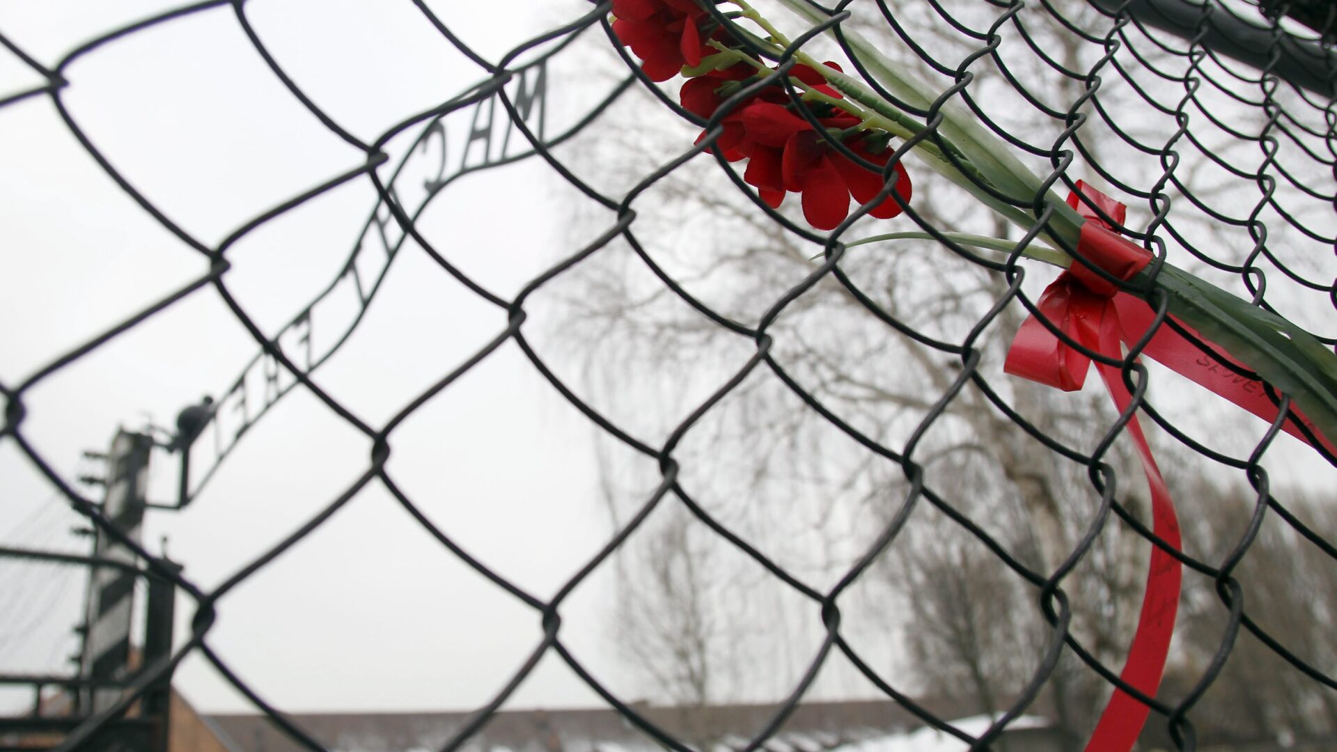 Международният ден в памет на жертвите на Холокоста