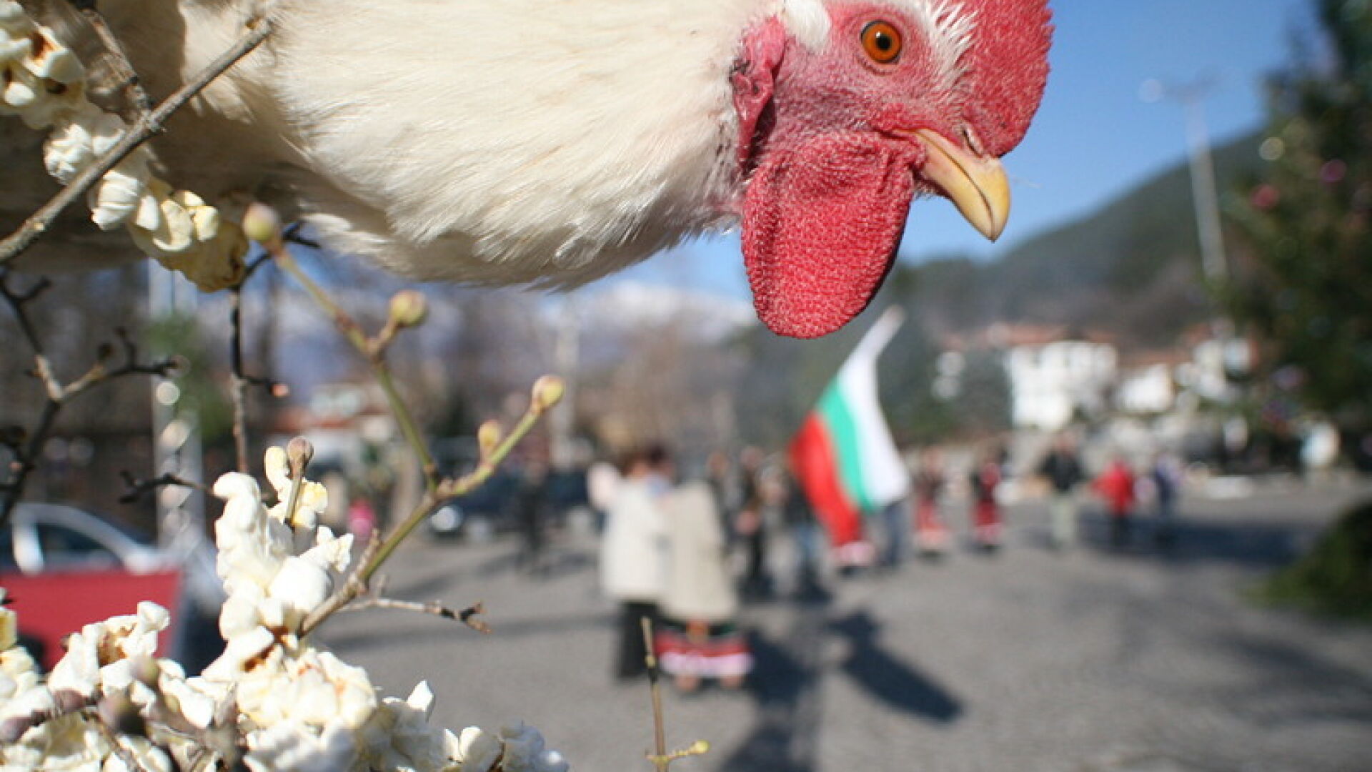 В Калофер 