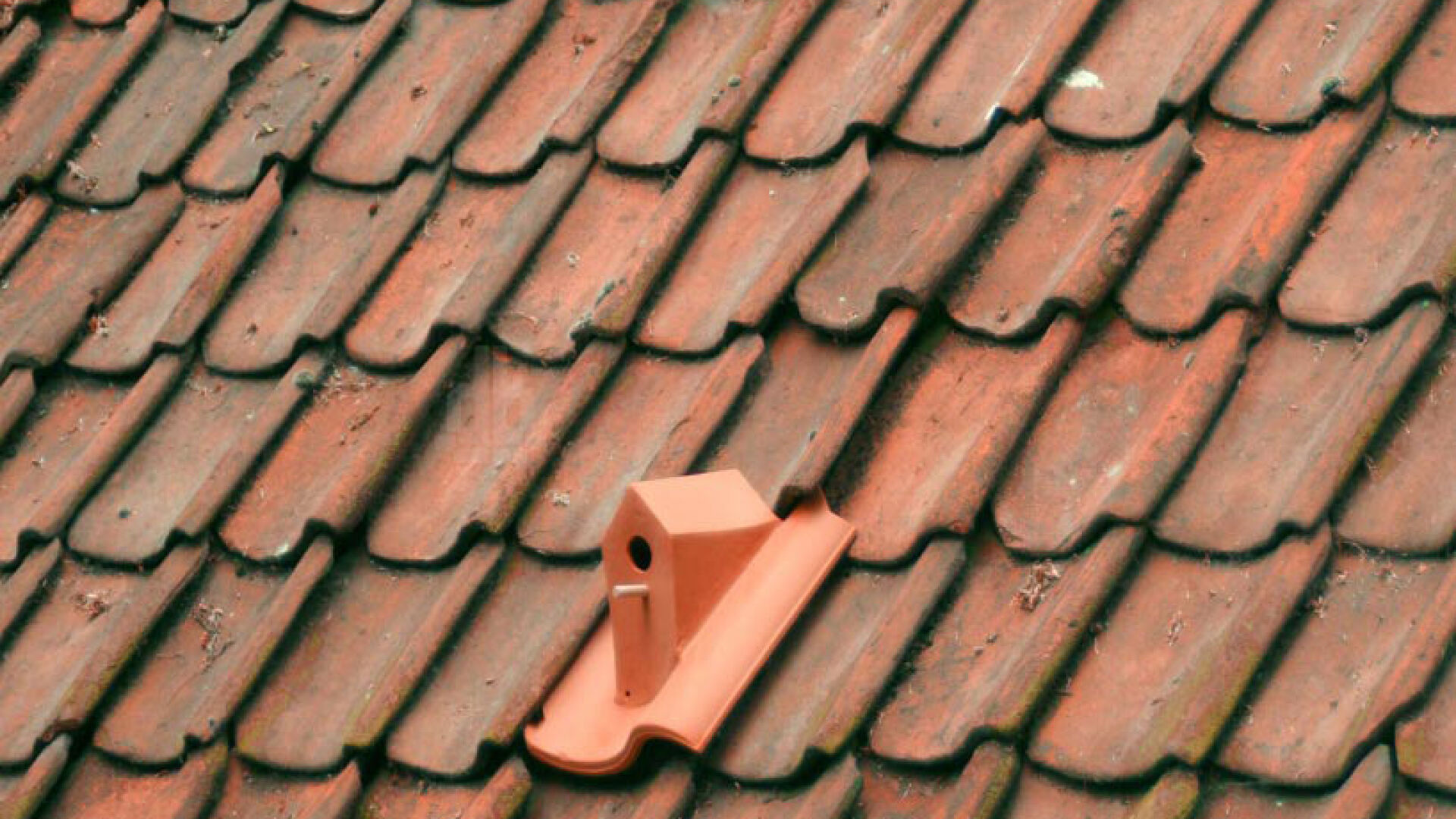 Birdhouse Rooftile от Klaas Kuiken