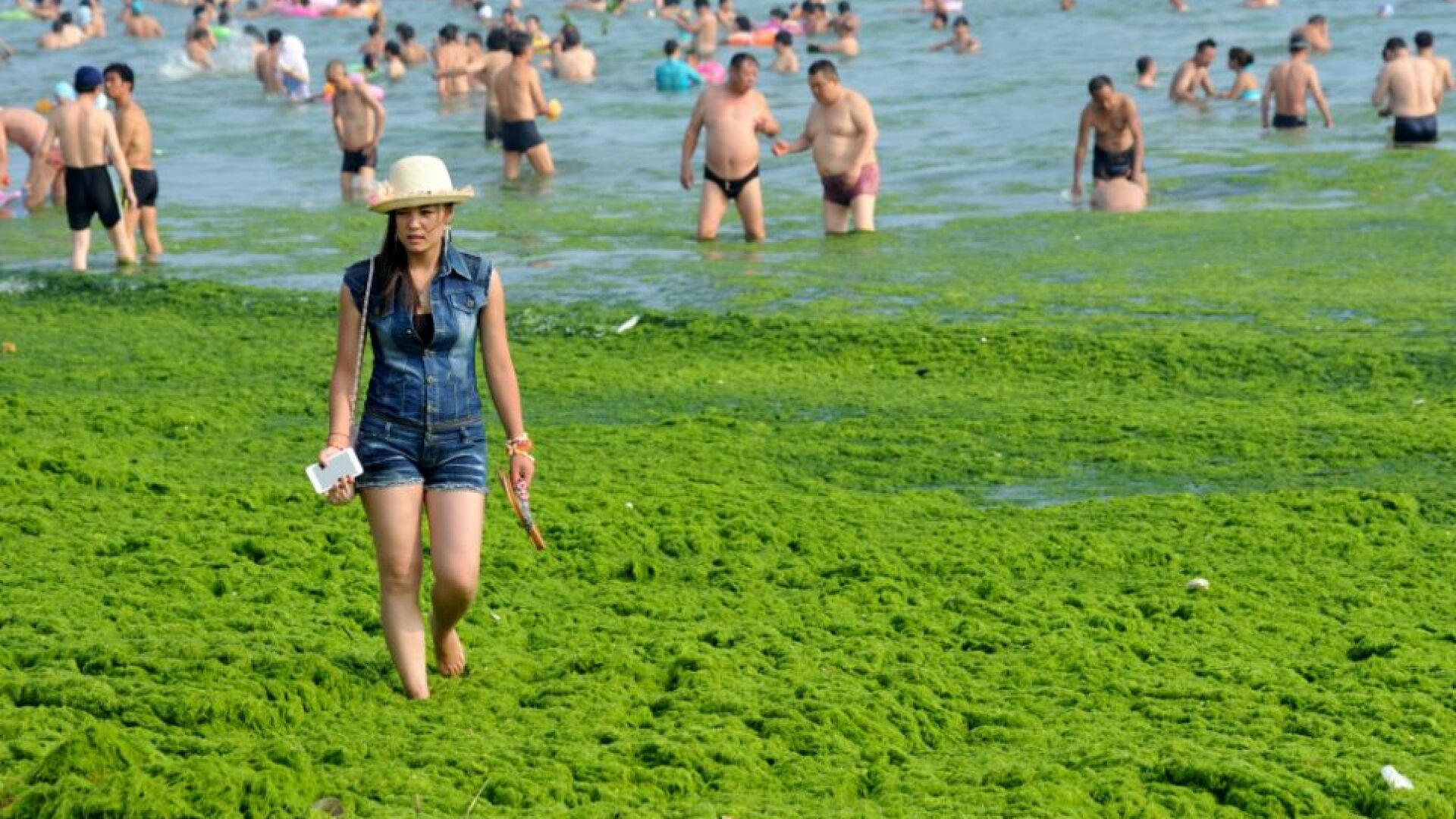 Китайските морета засегнати от най-мащабния досега цъфтеж на водорасли