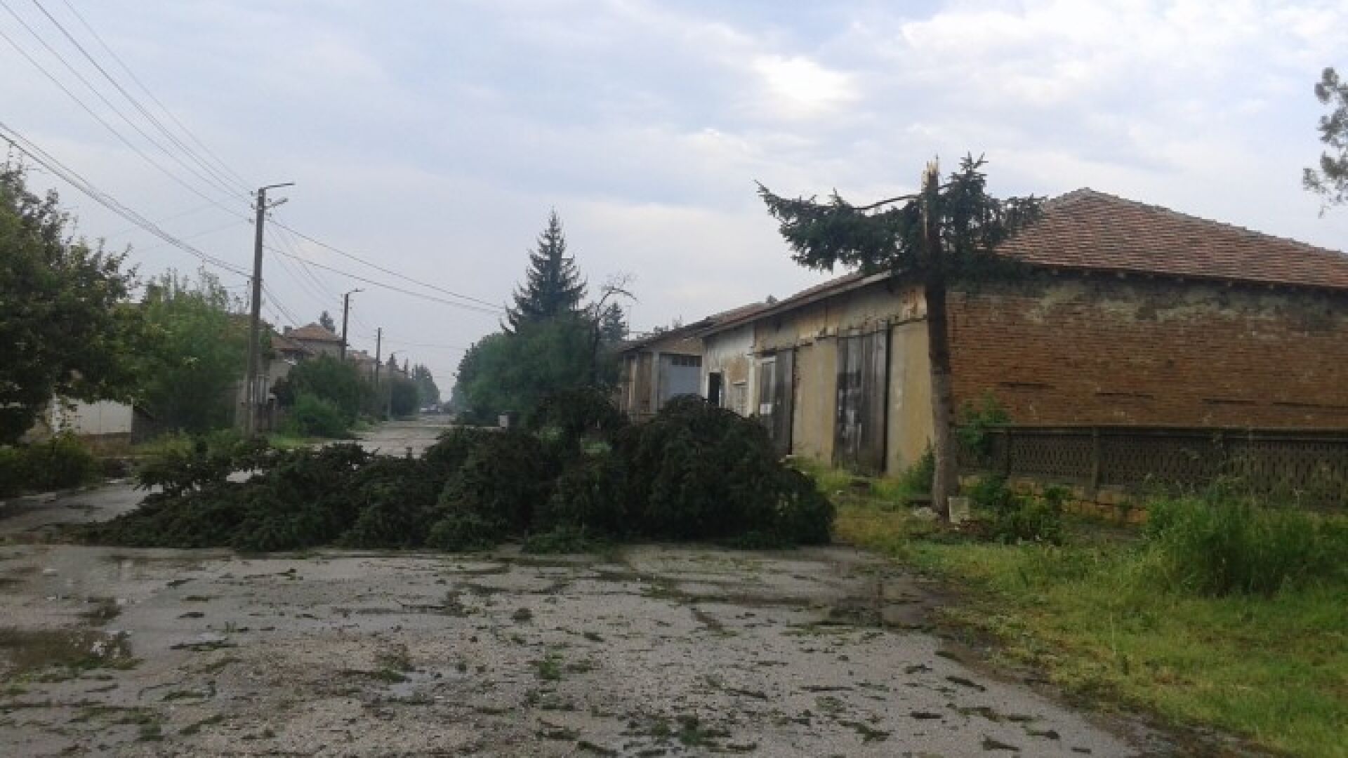 Ураган изпочупи къщи и изкорени дървета в Драгомирово