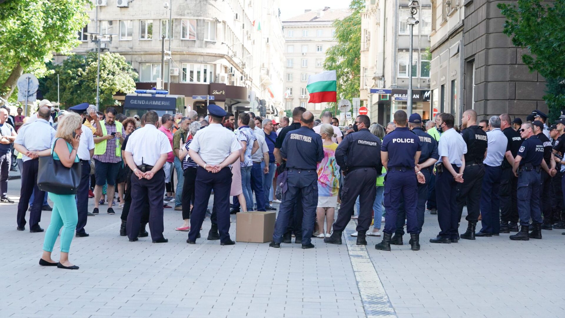 Протест в защита на президентската институция (СНИМКИ)