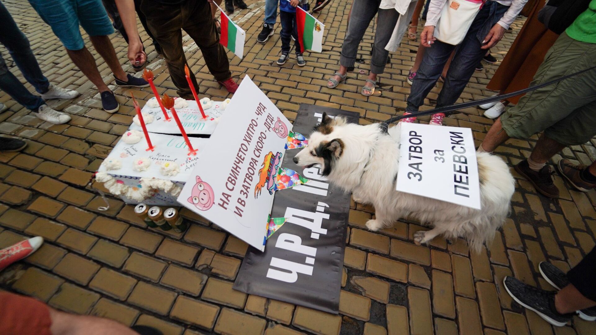 19-ти ден на антиправителствени протести 
