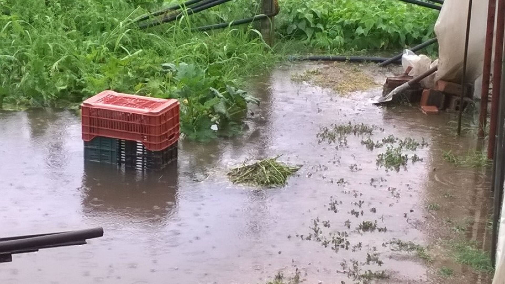 Пловдивско село осъмна под вода (СНИМКИ)