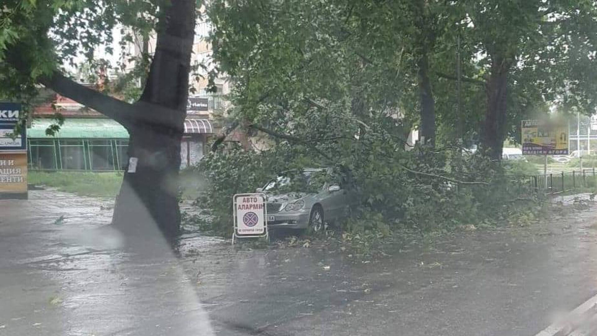 Буря потроши коли и дървета в Кърджали (СНИМКИ)