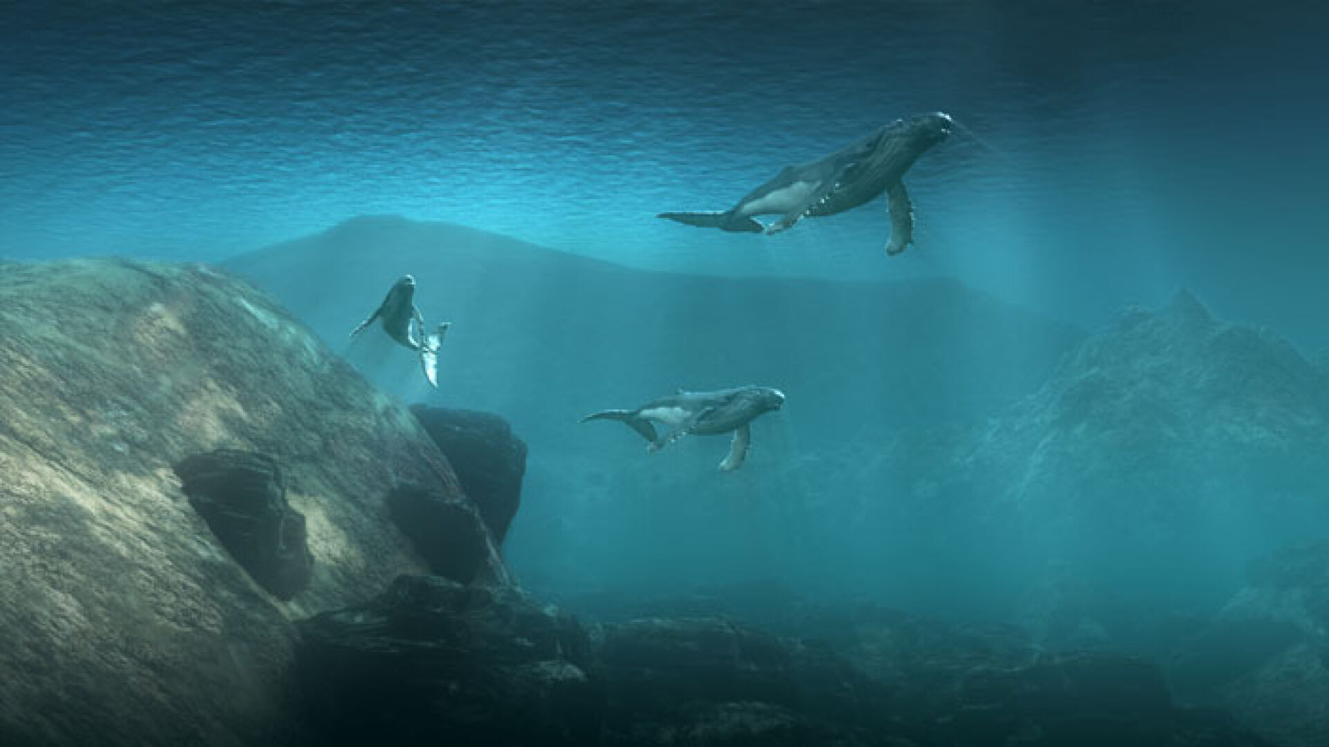 Безплатни прожекции на 3D документални филми на National Geographic в София