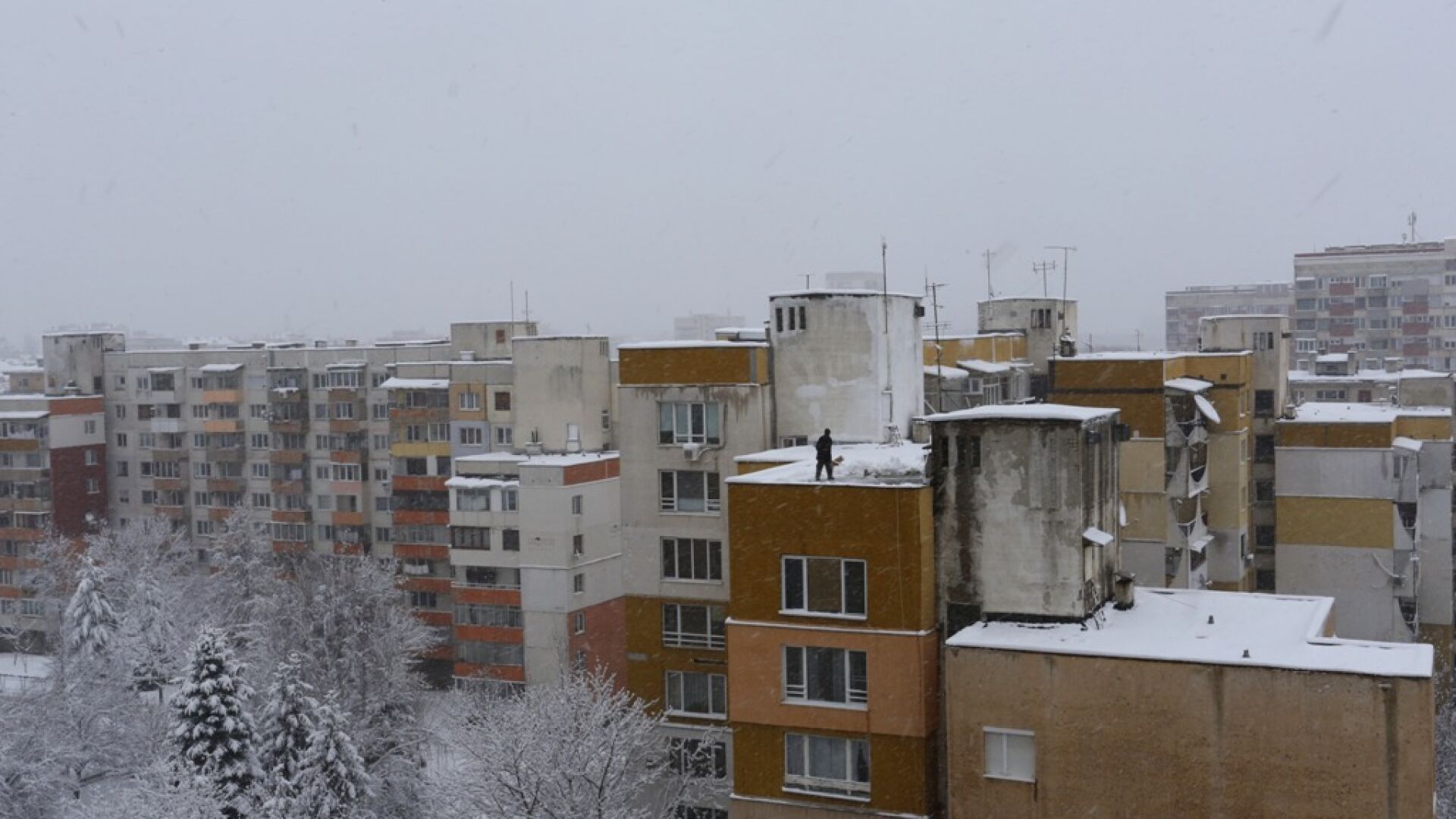 Как зимата се завърна в София