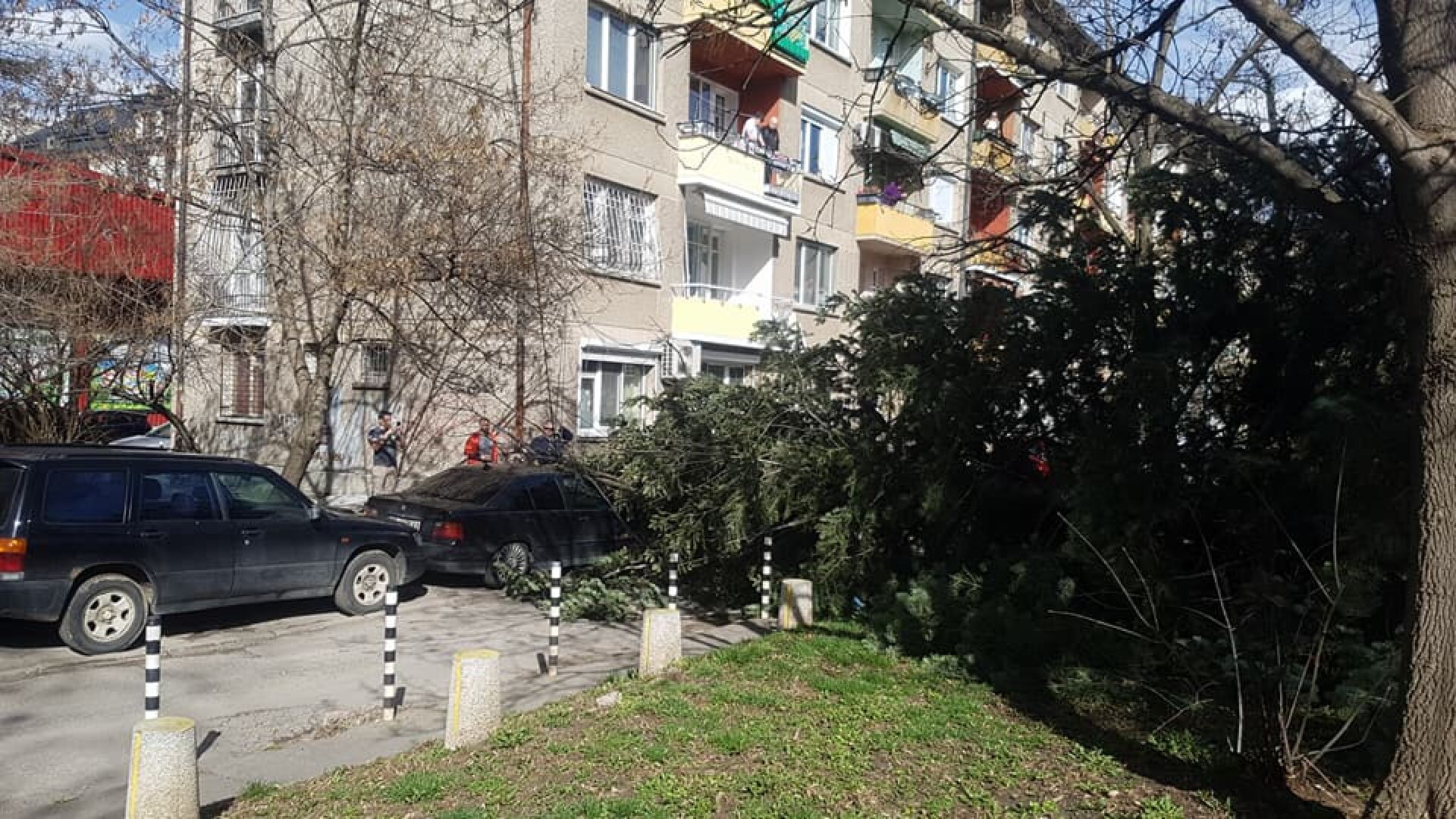 Силният вятър нанесе материални щети в столицата (СНИМКИ)