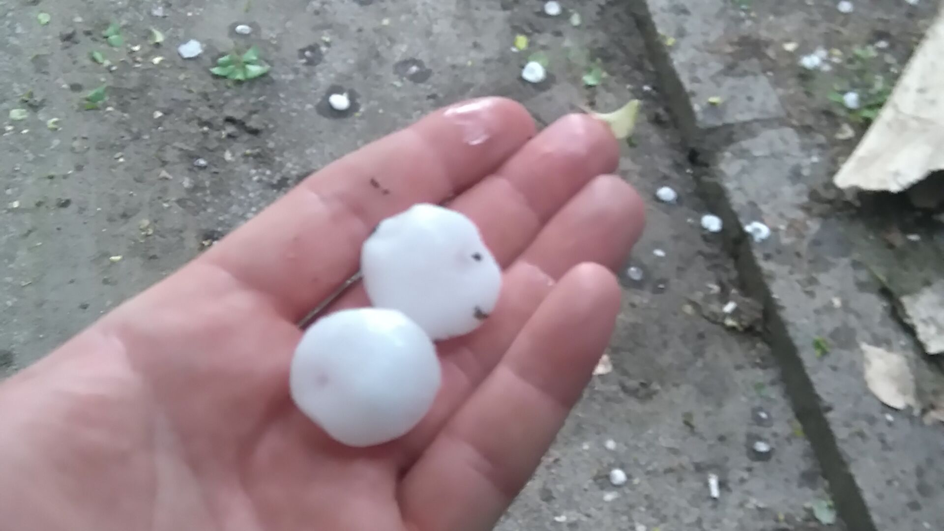Градушка колкото орех падна в Стара Загора (СНИМКИ И ВИДЕО)