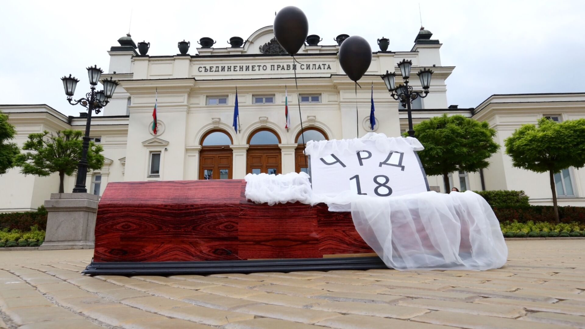 Хора с увреждания и техни близки излязоха на нов национален протест