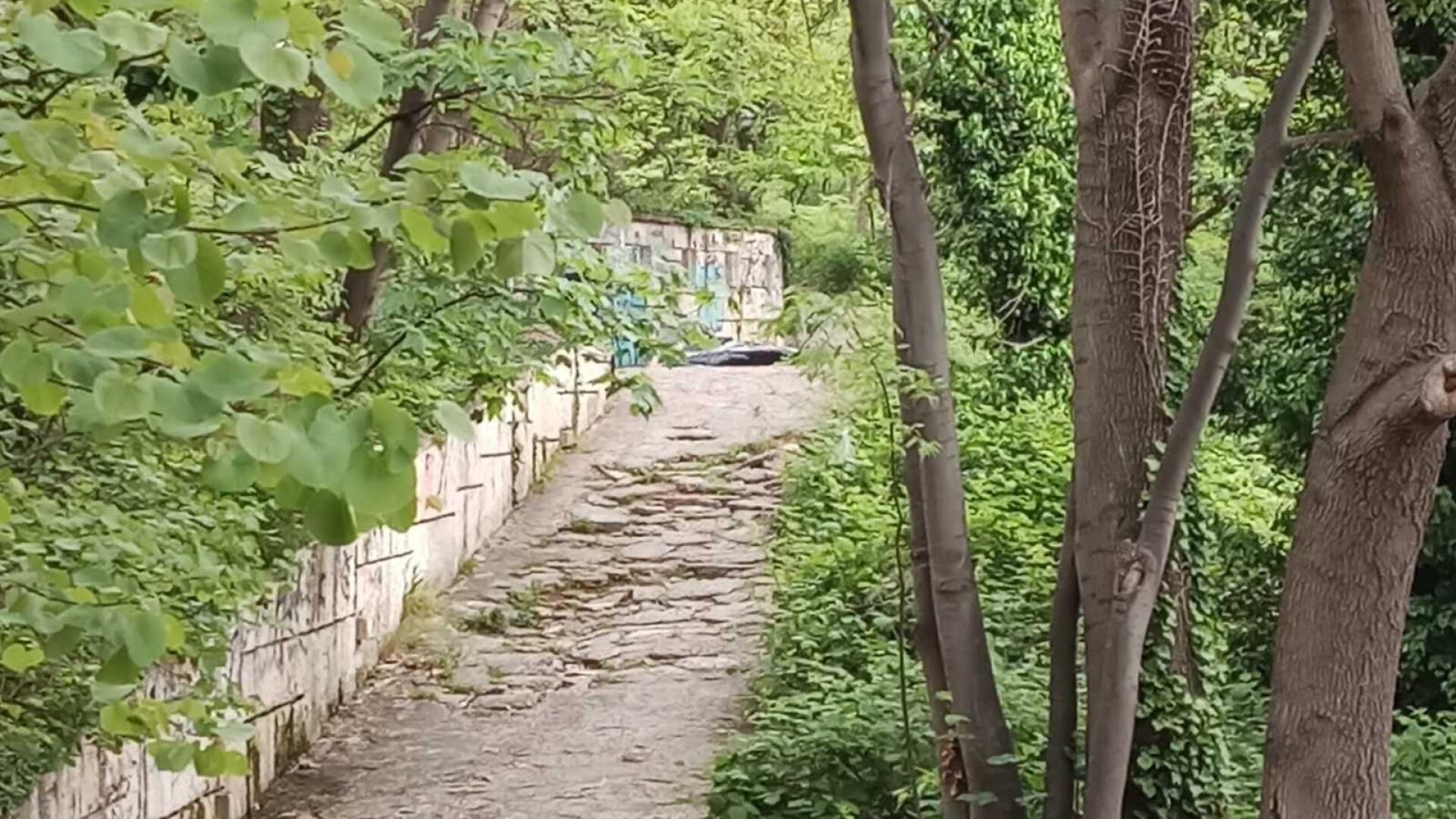 Откриха труп в Морската градина във Варна 