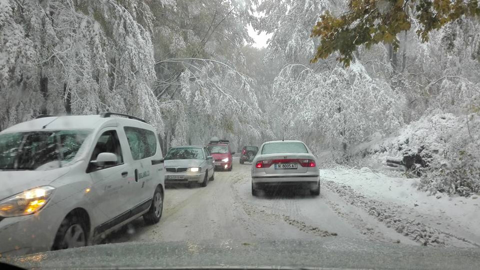 Истинска зима на прохода Петрохан, движението е затруднено (СНИМКИ)