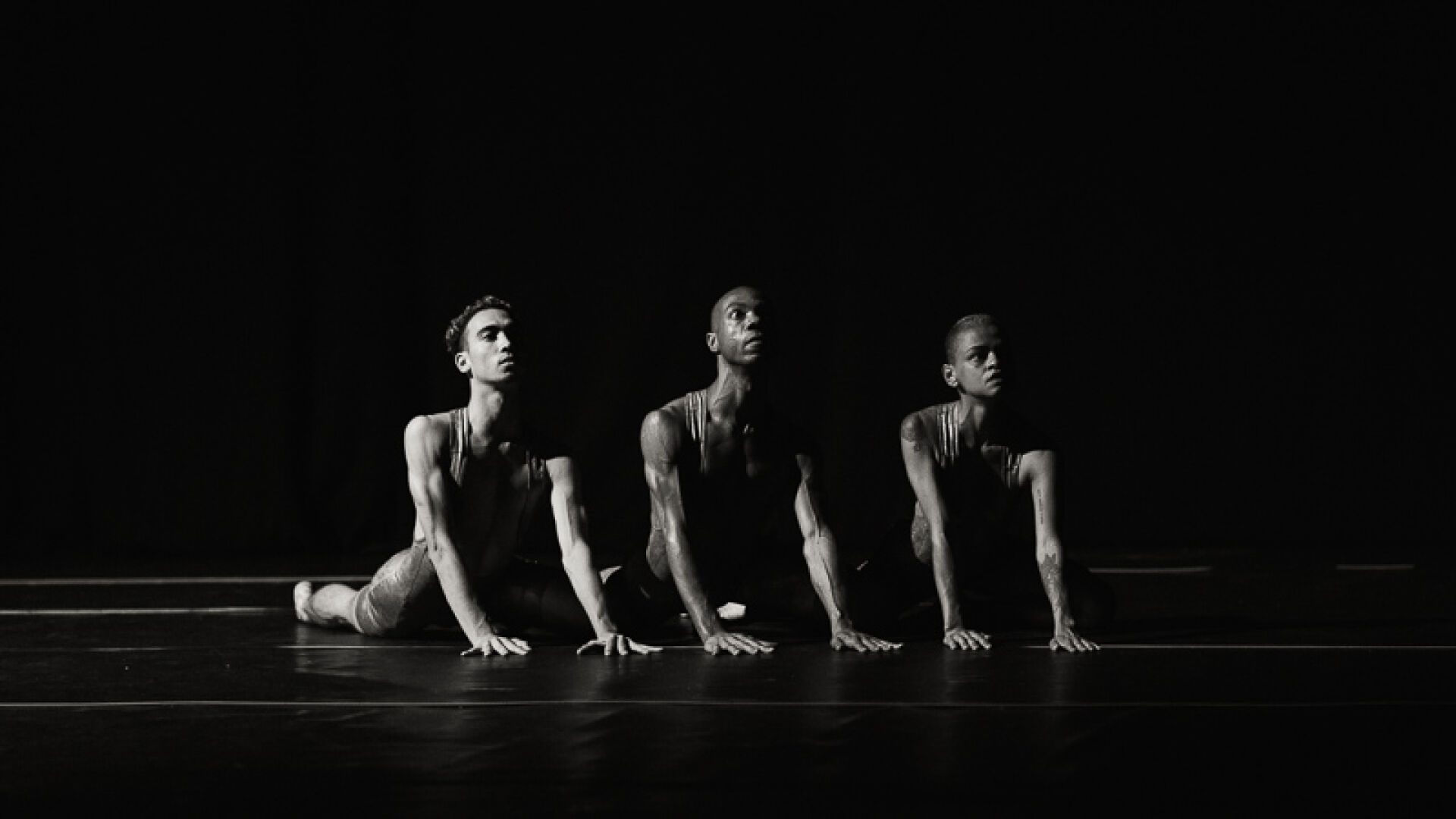 Съединението прави силата, независимостта я убива