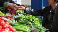 Зеленчукопроизводители се оплакаха от сив сектор и лоша организация на пазара