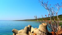 „Най-лошото е пластмасата“: Водолази почистиха морското дъно в Бургас