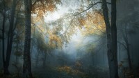 Български фотограф взе първа награда в категория „Любители” на престижен конкурс