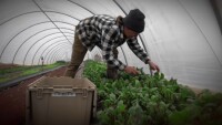 Сезонните работници са блокирани заради затворените граници