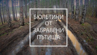 bTV Репортерите: Бюлетини от забравени пътища